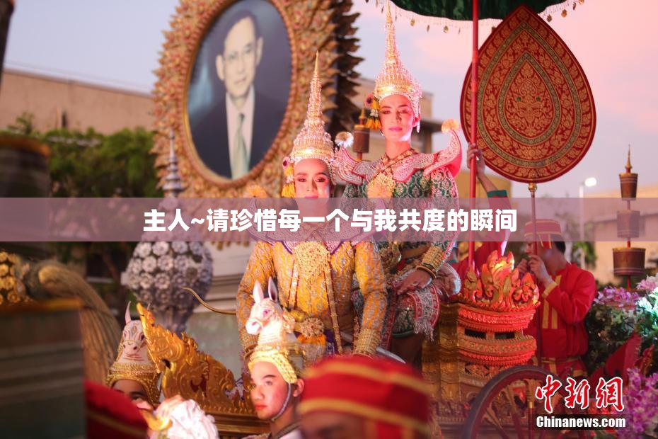 主人~请珍惜每一个与我共度的瞬间