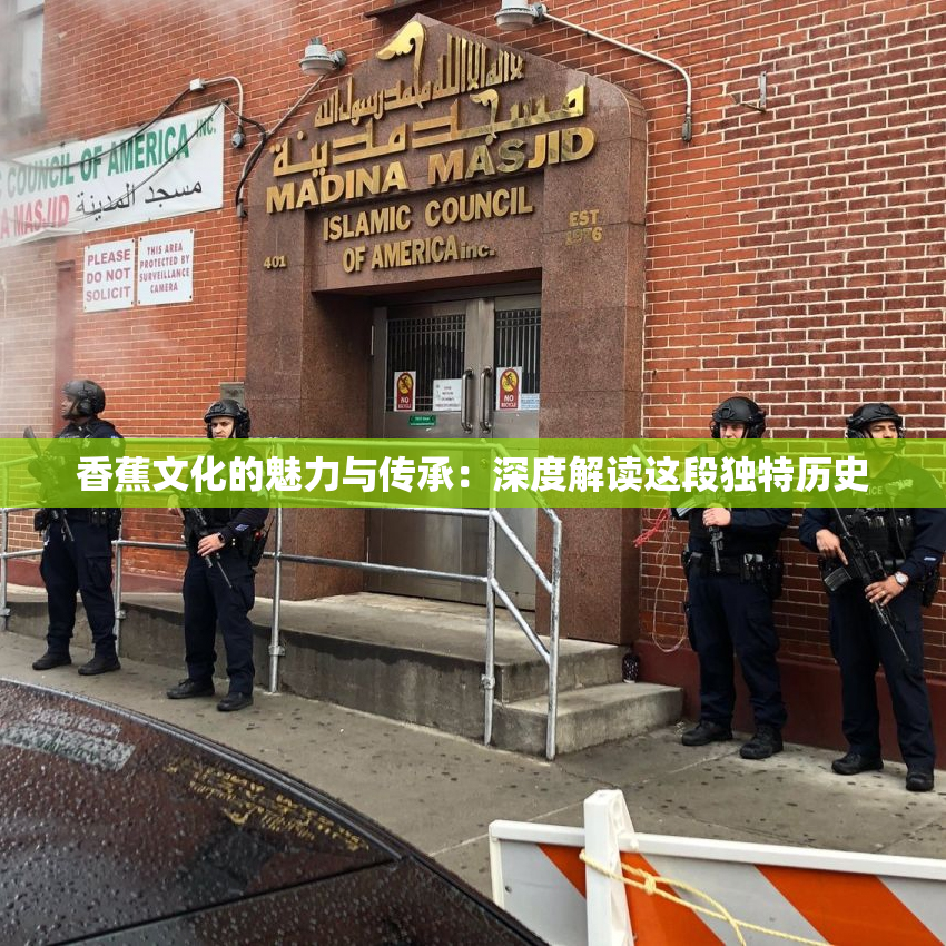 香蕉文化的魅力与传承：深度解读这段独特历史