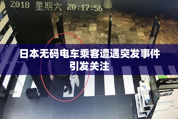 日本无码电车乘客遭遇突发事件引发关注