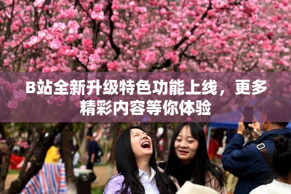 B站全新升级特色功能上线，更多精彩内容等你体验