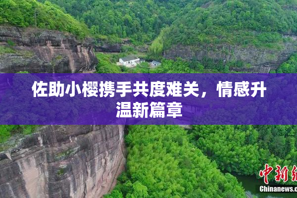 佐助小樱携手共度难关，情感升温新篇章