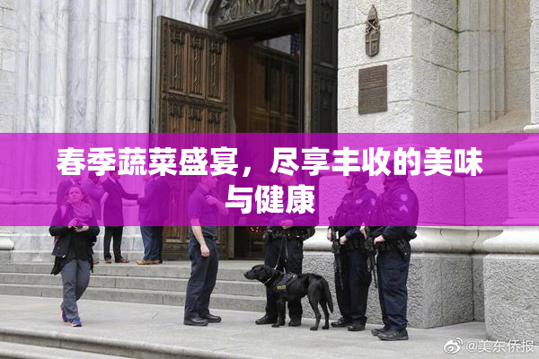 春季蔬菜盛宴，尽享丰收的美味与健康