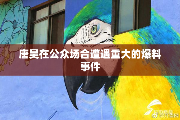 唐昊在公众场合遭遇重大的爆料事件