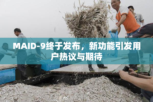 MAID-9终于发布，新功能引发用户热议与期待