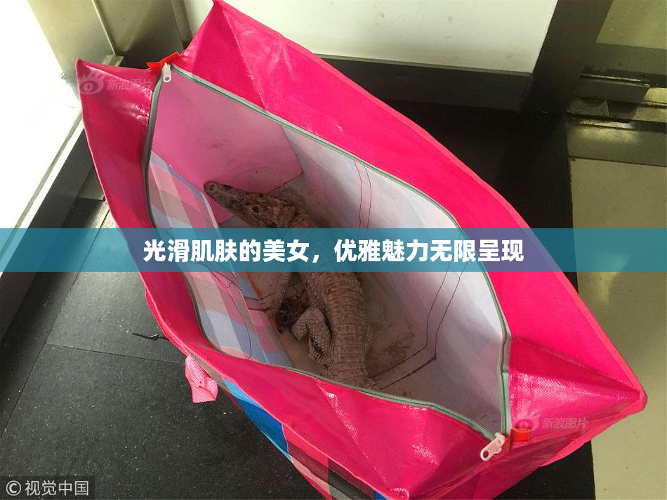 光滑肌肤的美女，优雅魅力无限呈现