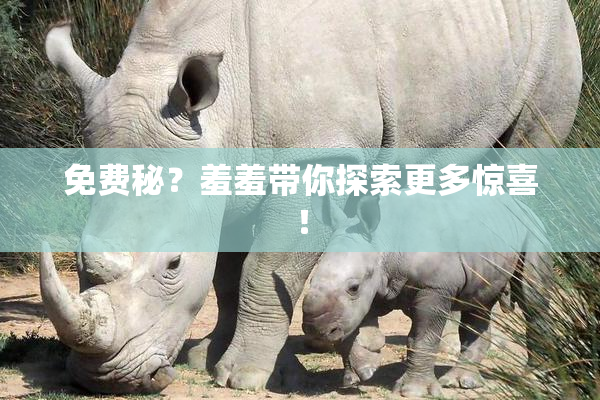 免费秘？羞羞带你探索更多惊喜！