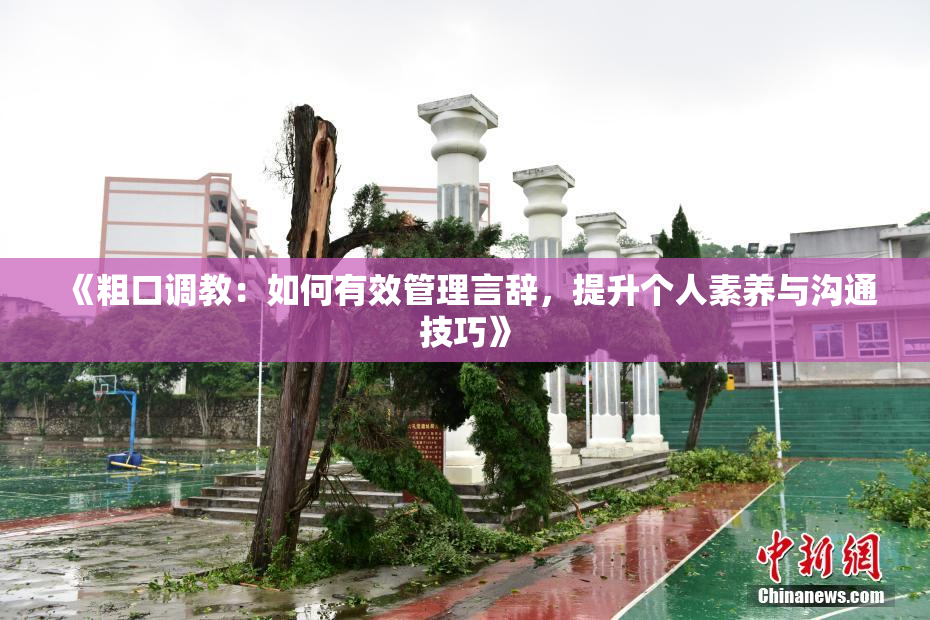 《粗口调教：如何有效管理言辞，提升个人素养与沟通技巧》