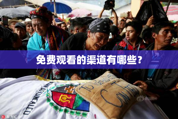 免费观看的渠道有哪些？