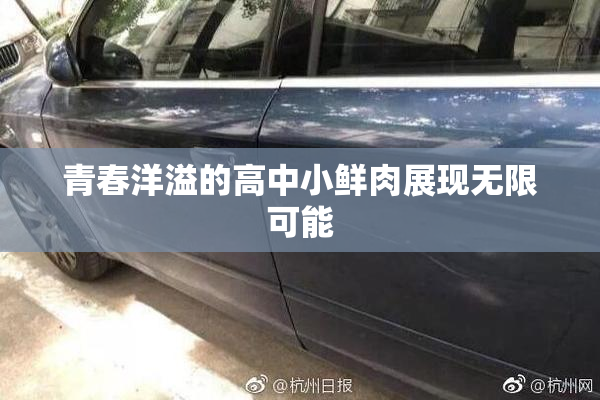青春洋溢的高中小鲜肉展现无限可能
