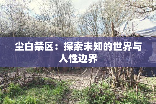 尘白禁区：探索未知的世界与人性边界