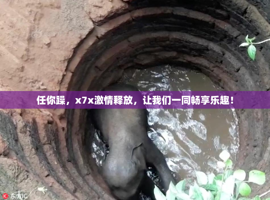 任你躁，x7x激情释放，让我们一同畅享乐趣！