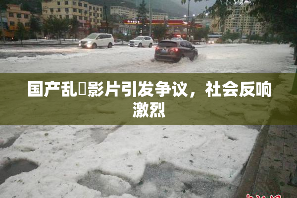 国产乱婬影片引发争议，社会反响激烈