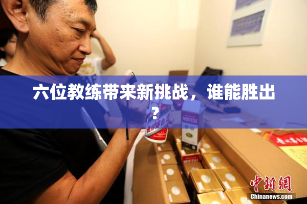 六位教练带来新挑战，谁能胜出？