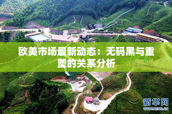 欧美市场最新动态：无码黑与重塑的关系分析
