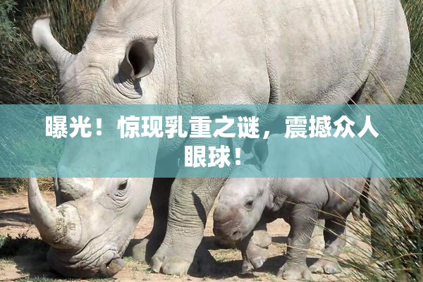 曝光！惊现乳重之谜，震撼众人眼球！