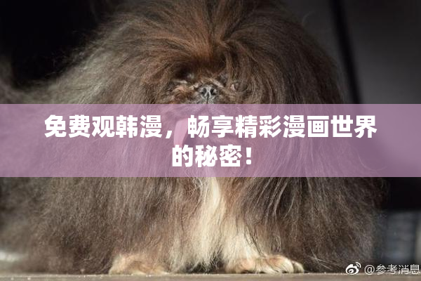 免费观韩漫，畅享精彩漫画世界的秘密！