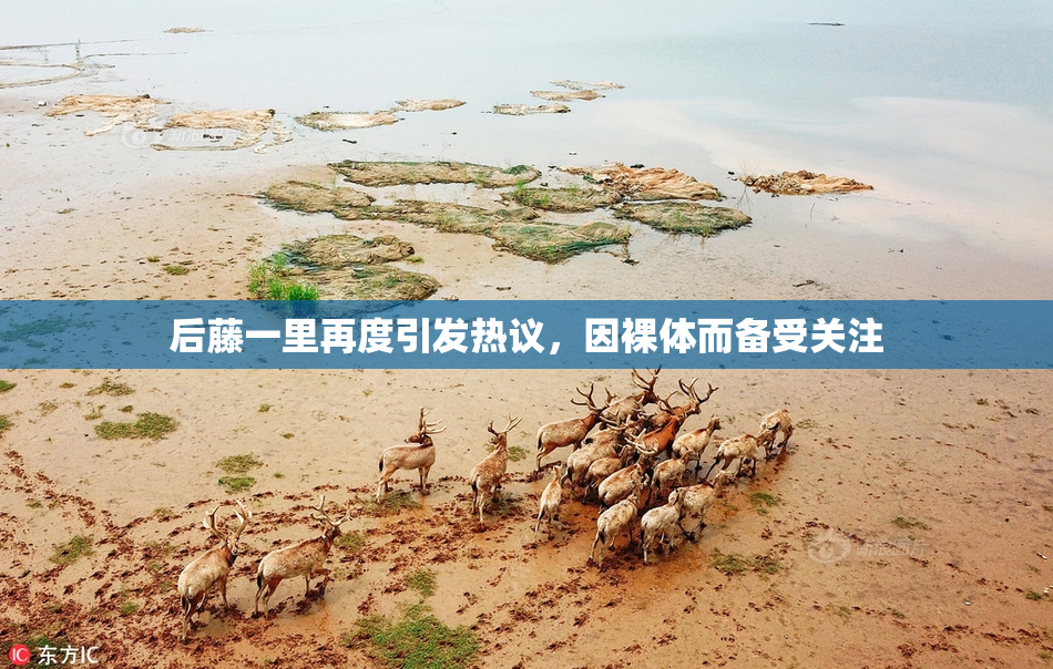 后藤一里再度引发热议，因裸体而备受关注
