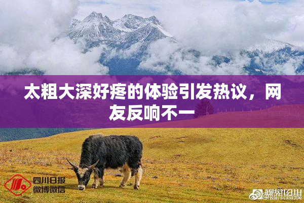 太粗大深好疼的体验引发热议，网友反响不一