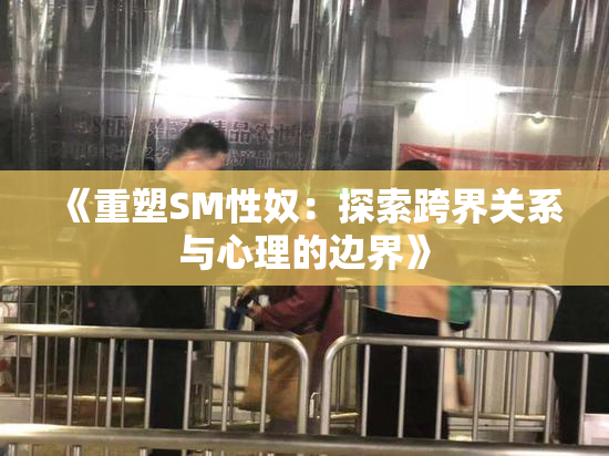 《重塑SM性奴：探索跨界关系与心理的边界》