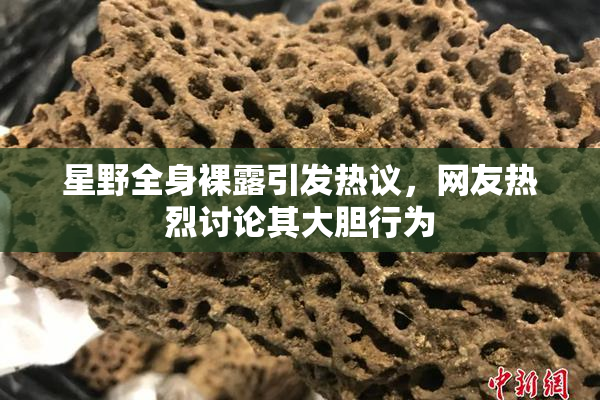 星野全身裸露引发热议，网友热烈讨论其大胆行为