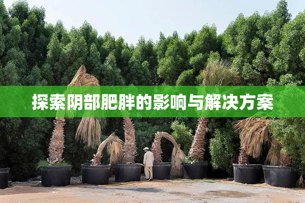探索阴部肥胖的影响与解决方案