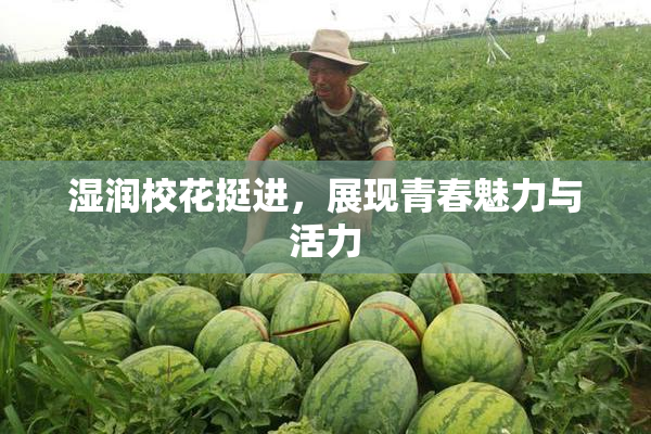 湿润校花挺进，展现青春魅力与活力