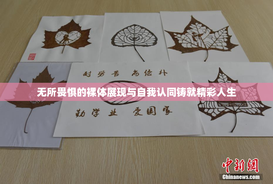 无所畏惧的裸体展现与自我认同铸就精彩人生