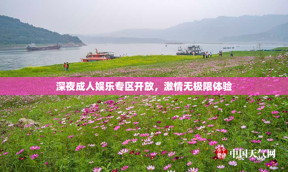 深夜成人娱乐专区开放，激情无极限体验