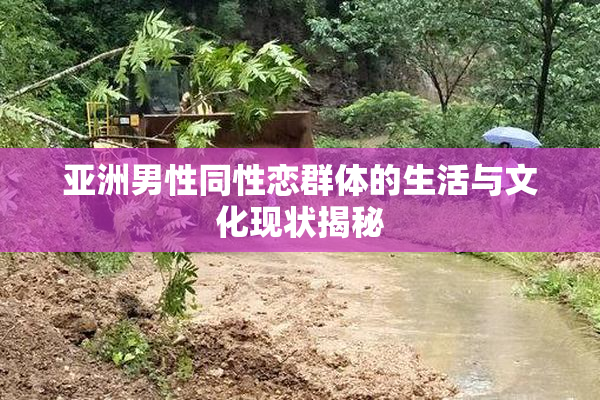 亚洲男性同性恋群体的生活与文化现状揭秘