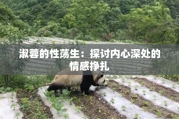 淑蓉的性荡生：探讨内心深处的情感挣扎