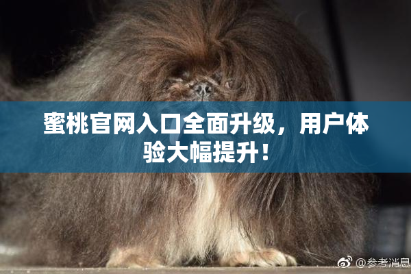 蜜桃官网入口全面升级，用户体验大幅提升！