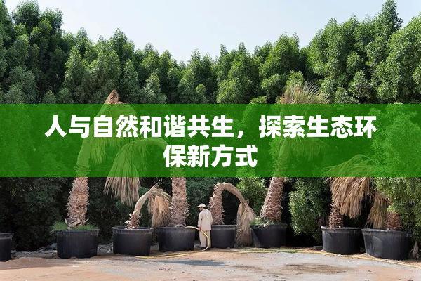 人与自然和谐共生，探索生态环保新方式