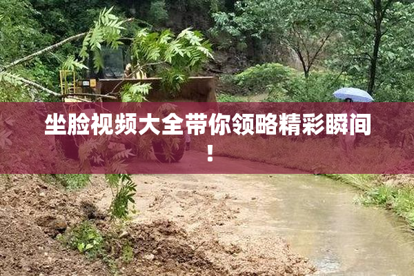 坐脸视频大全带你领略精彩瞬间！