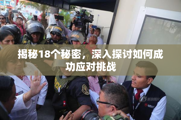 揭秘18个秘密，深入探讨如何成功应对挑战