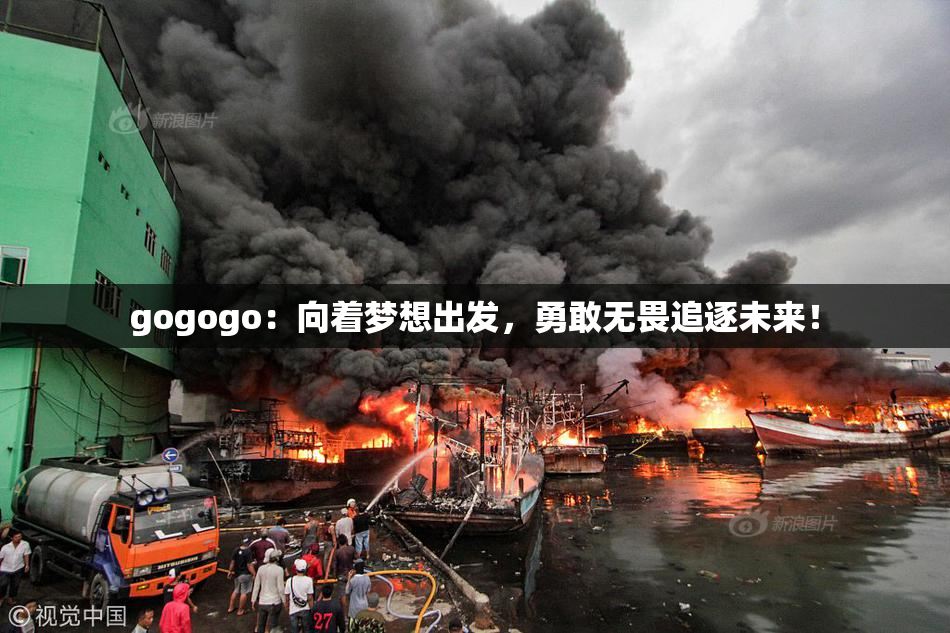 gogogo：向着梦想出发，勇敢无畏追逐未来！