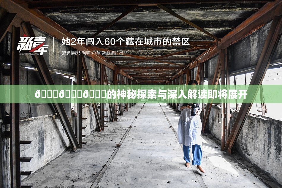🍆🍑🔞的神秘探索与深入解读即将展开