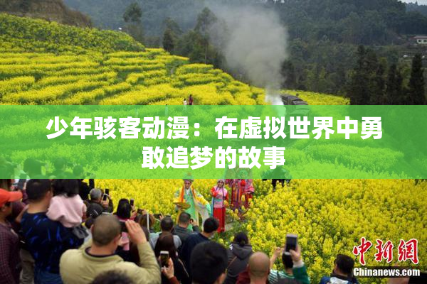 少年骇客动漫：在虚拟世界中勇敢追梦的故事