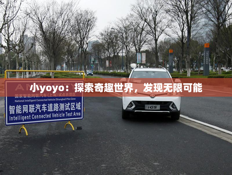 小yoyo：探索奇趣世界，发现无限可能