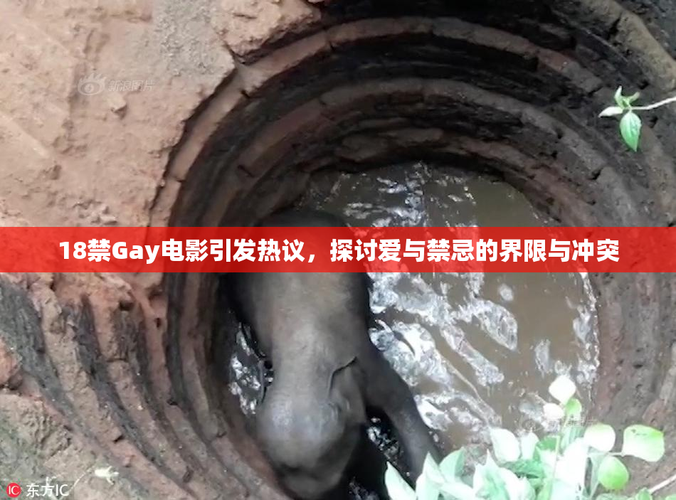 18禁Gay电影引发热议，探讨爱与禁忌的界限与冲突