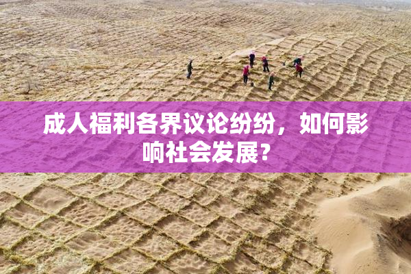 成人福利各界议论纷纷，如何影响社会发展？
