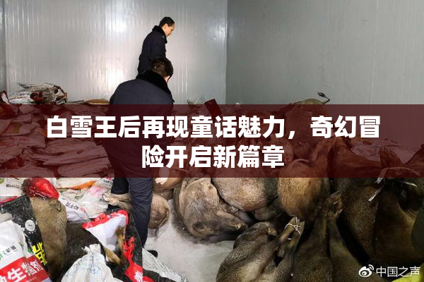白雪王后再现童话魅力，奇幻冒险开启新篇章