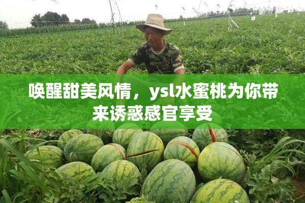 唤醒甜美风情，ysl水蜜桃为你带来诱惑感官享受