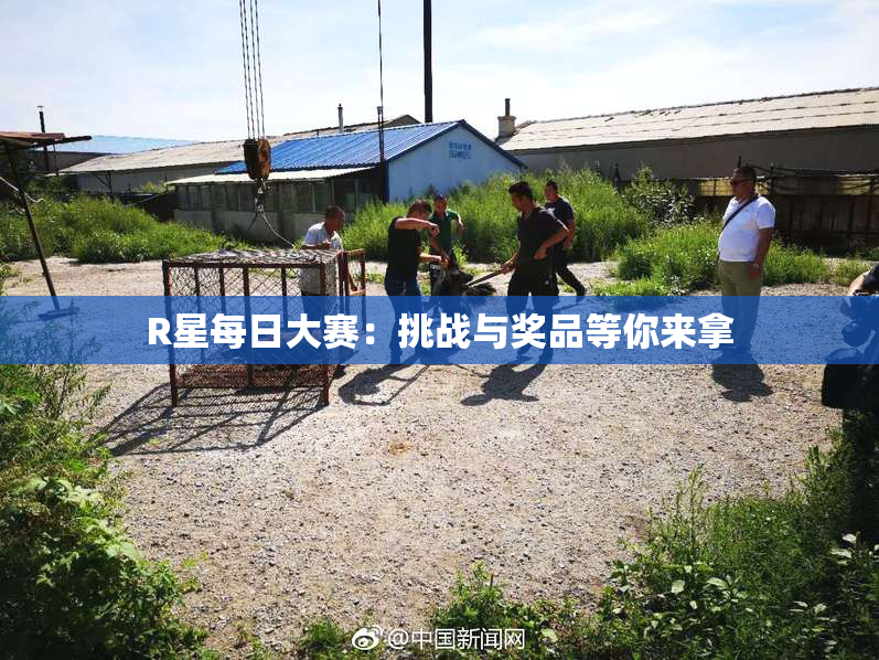 R星每日大赛：挑战与奖品等你来拿
