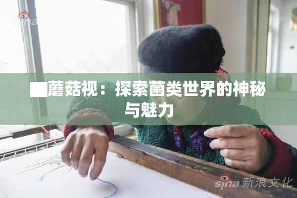 ▇蘑菇视：探索菌类世界的神秘与魅力