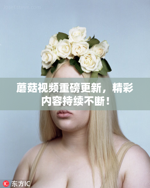 蘑菇视频重磅更新，精彩内容持续不断！