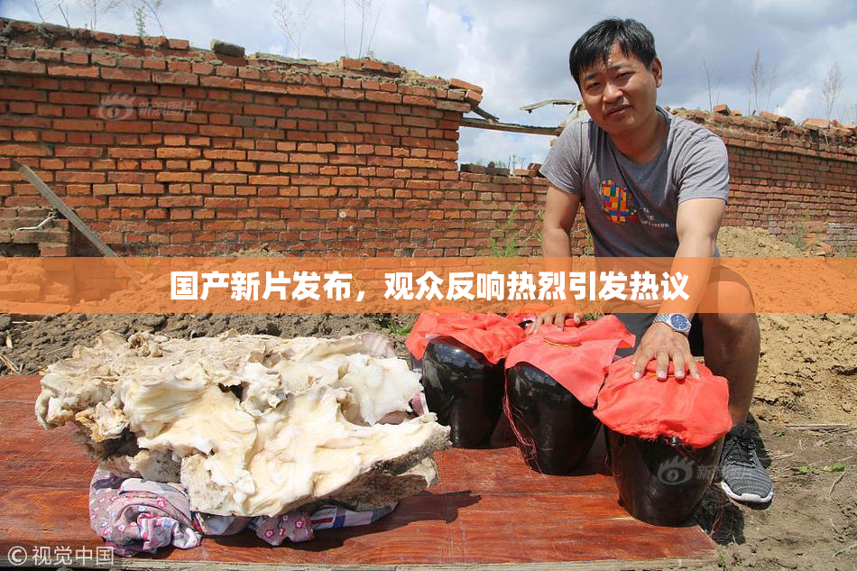 国产新片发布，观众反响热烈引发热议