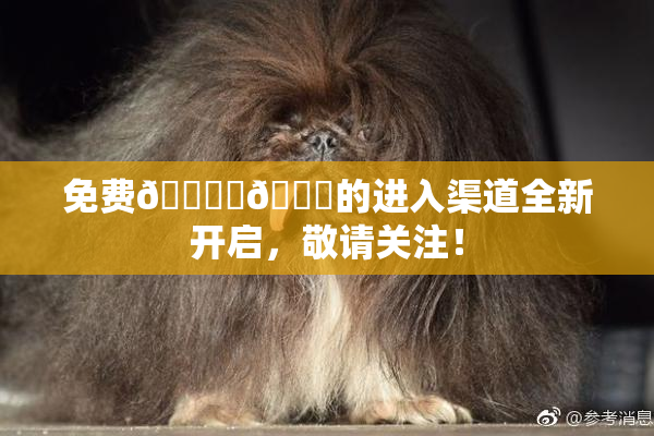 免费🔞‌🍌的进入渠道全新开启，敬请关注！
