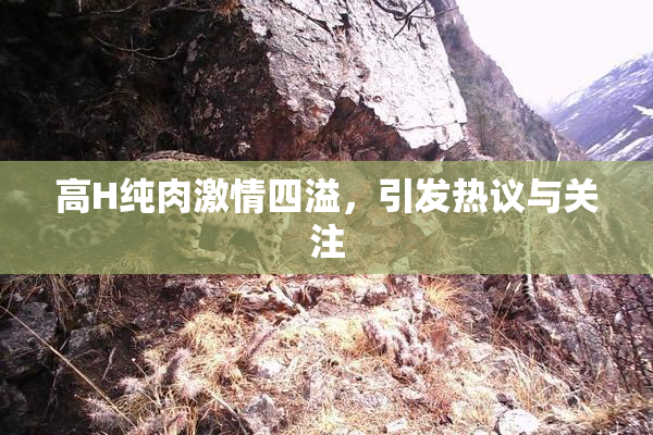 高H纯肉激情四溢，引发热议与关注