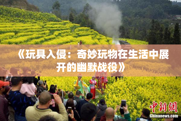 《玩具入侵：奇妙玩物在生活中展开的幽默战役》