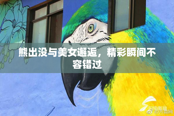 熊出没与美女邂逅，精彩瞬间不容错过